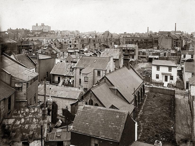 Rooftops of Surry Hills circa 1906