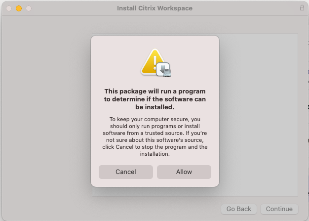 Screenshot Citrix WorkSpace - Allow installation