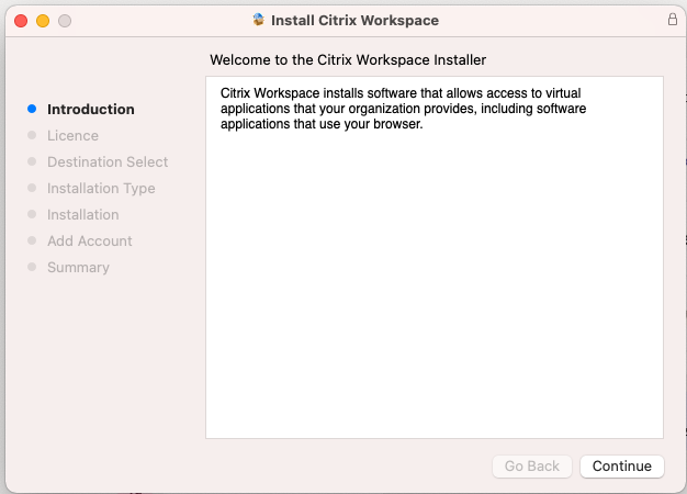Screenshot Citrix WorkSpace - continue