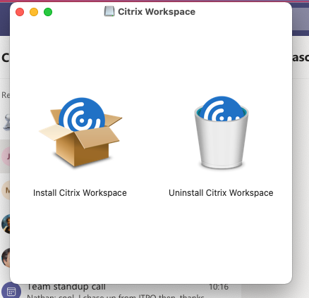 Screenshot Citrix WorkSpace - install 