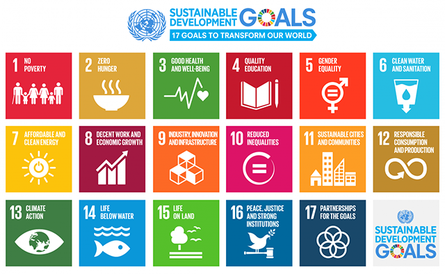 17 sustainability goals