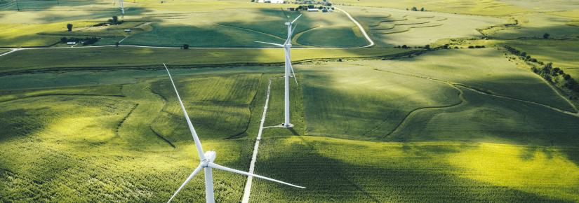 Wind turbines stretch into the distance across green paddocks