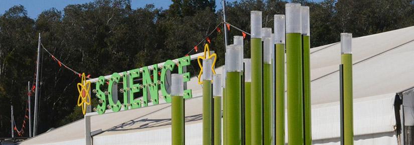 Green algae tubes next to the word Science