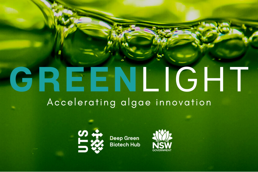 Green Light text with the NSW Government and DGBH logo