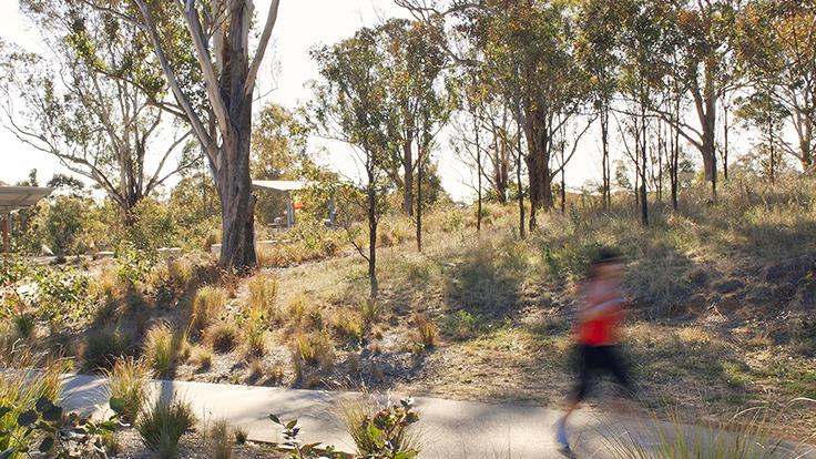 A blurry woman is running through Australian bush.