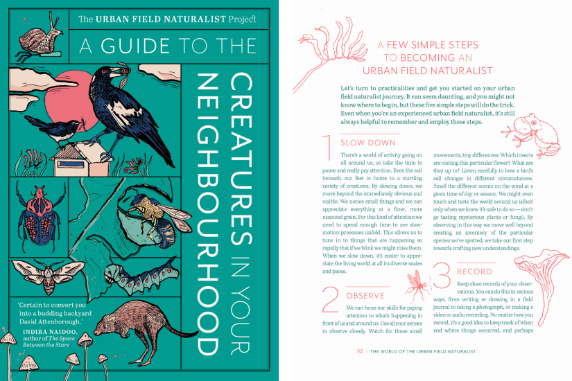 Cover and internal page of A Guide to the Creatures in Your Neighbourhood