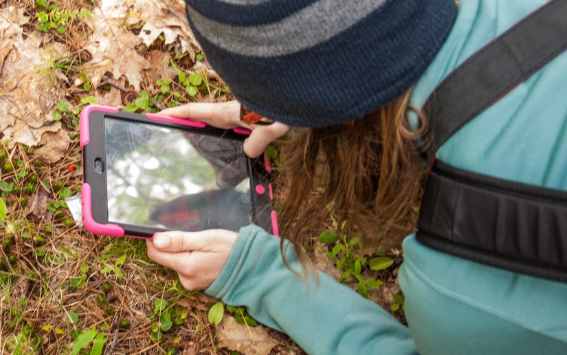 Stock picture of a young woman photographing something small on the ground using a digital device