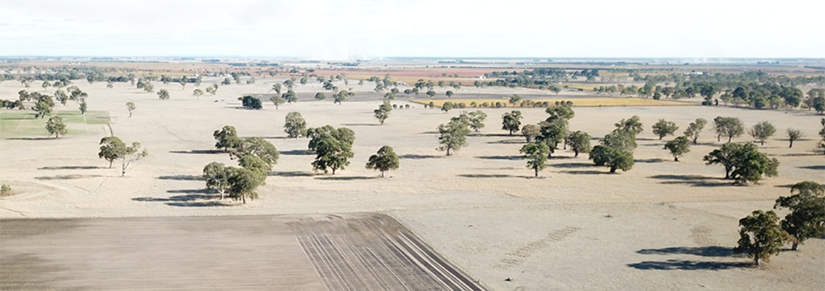 Aerial shot of rural paddock and trees