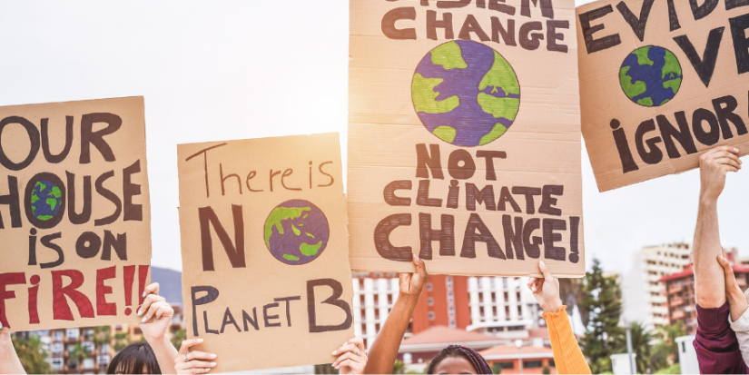 Climate change protest placards