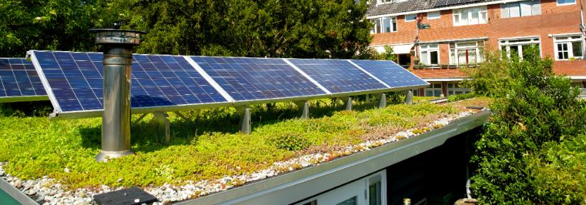 Green roof with solar