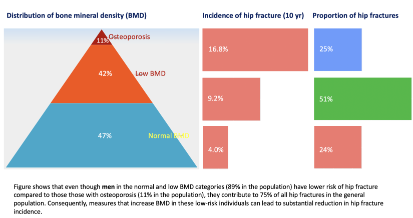 graph showing distribution of hip fractures in the community