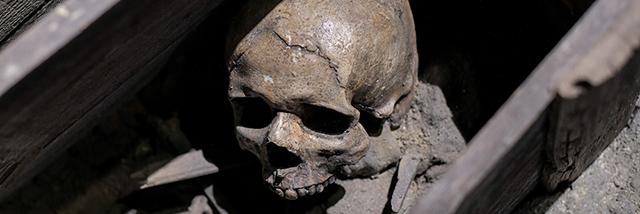 Stock picture of a human skull visible where the floorboards of a building have been removed