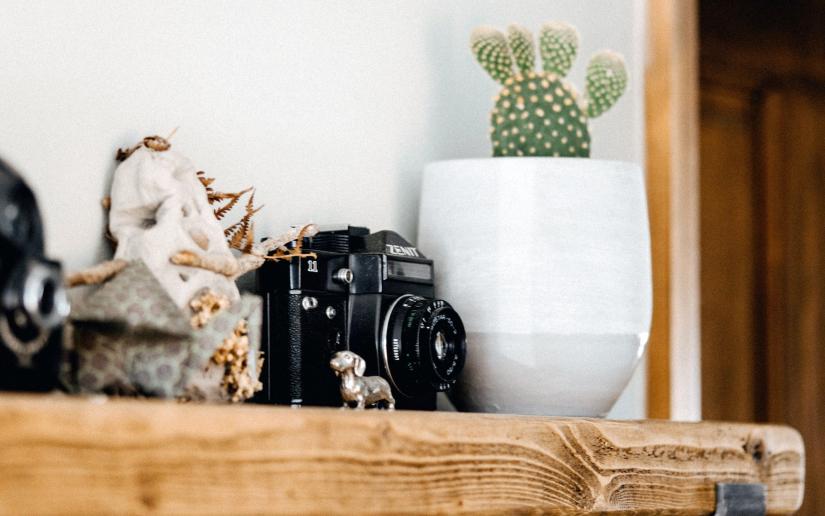 A camera shown sitting on a shelf with various objects including a houseplant. Picture: Annie Spratt/Unsplash