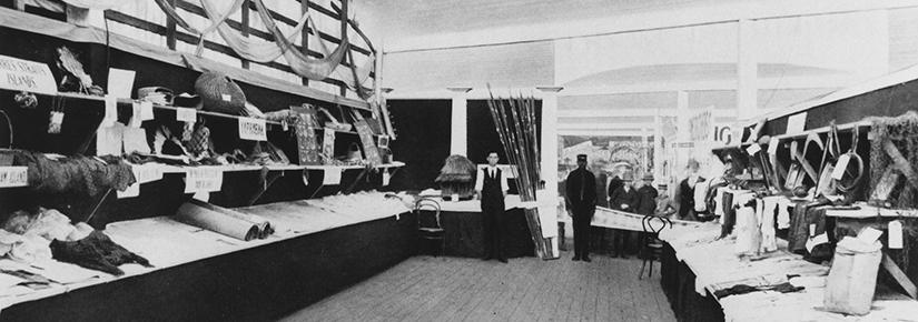 Aboriginal Display at the Brisbane Exhibition, 1914. State Library of Queensland