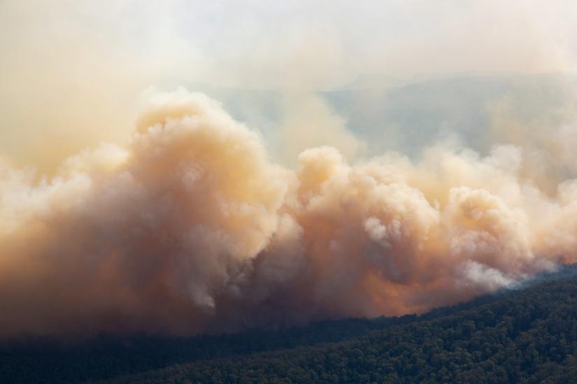Bushfire smoke. Adobe Stock