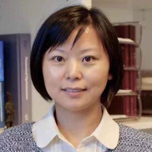 Headshot of AAII's Professor Ling Chen