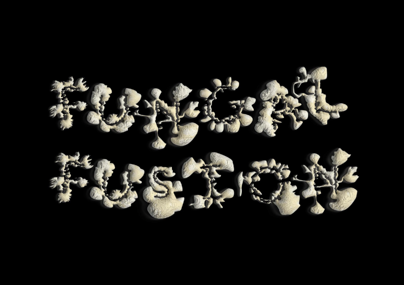 "Fungal Fusion" text written in font that appears to be mushrooms 