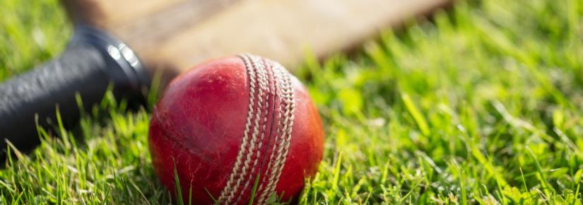 Cricket ball and cricket bat on green grass of cricket pitch