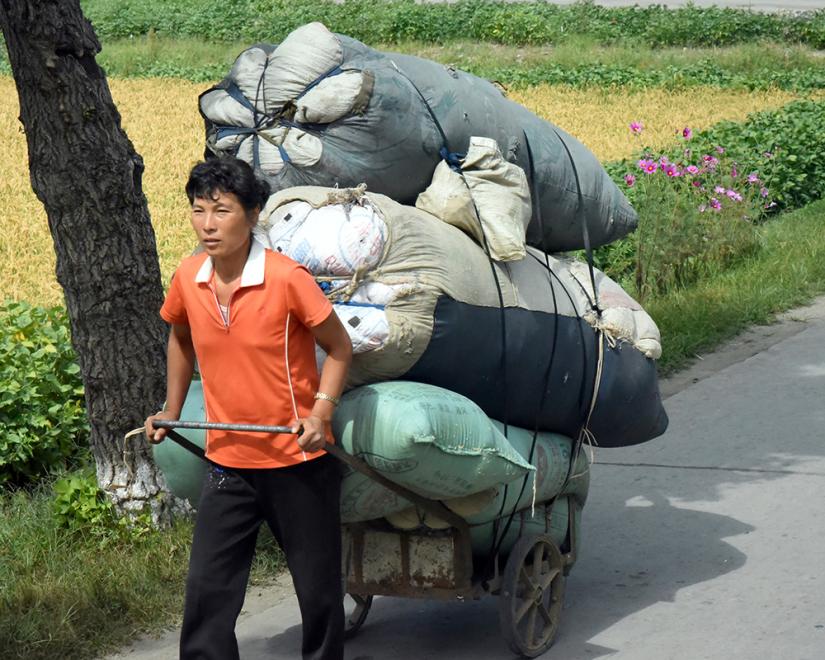 A North Korean woman pulls a cart of goods