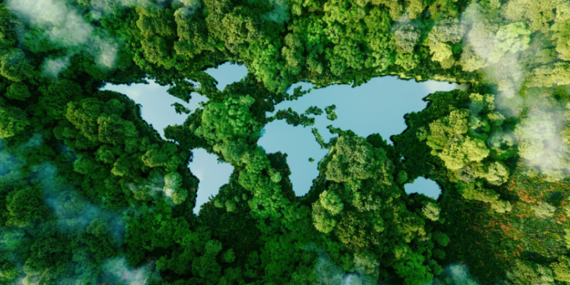 Aerial view of the world map in a forest