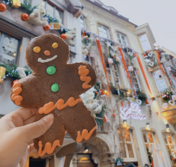 Nicole holding up a gingerbread man in front of christmas decorations