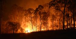 Planning for Bushfire Prone Areas