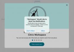 Screenshot Citrix WorkSpace - ipad allow notifcations