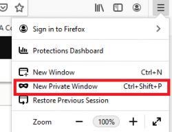 Screenshot of adding a New Private Window in Firefox browser