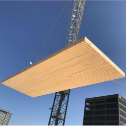 Large piece of timber lifted by a crane