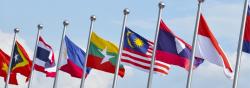 Flags of Indo-Pacific countries are raised alongside one another