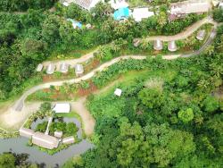 An aerial shot of a village surrounded by trees