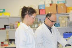 Professor Aniela Wozniak and Dr Mehrad Hamidian conducting experiment in laboratory