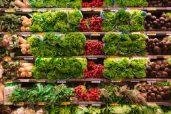 A supermarket shelf filled with green and red vegetables including lettuce, carrot and raddish 