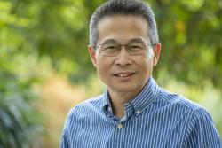 Professor Wei Zhang