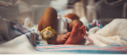 Photo of newborn baby in hospital