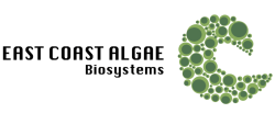 East Coast Algae Biosystems Logo 