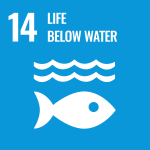 Icon for SDG 14 Life below water