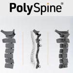 PolySpine logo and three images showing the skeletal product