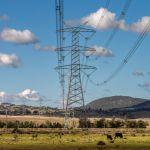 Image of high voltage transmission lines in a rural field with black cows