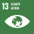 13 Climate action white icon on green background